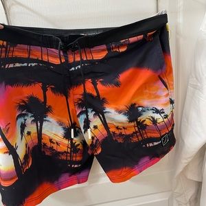 American Eagle Swim Trunks